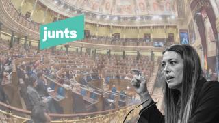 Fotomontaje de Míriam Nogueras en el Congreso de los Diputados