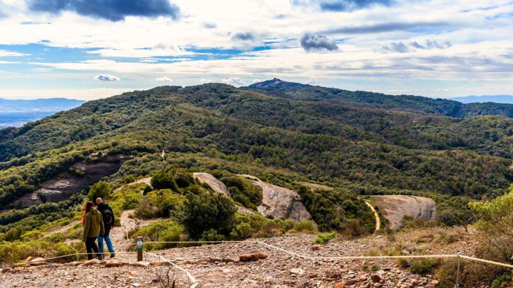 Así será el nuevo corredor ecológico de Cataluña en el Parc Natural de Sant Llorenç i l'Obac