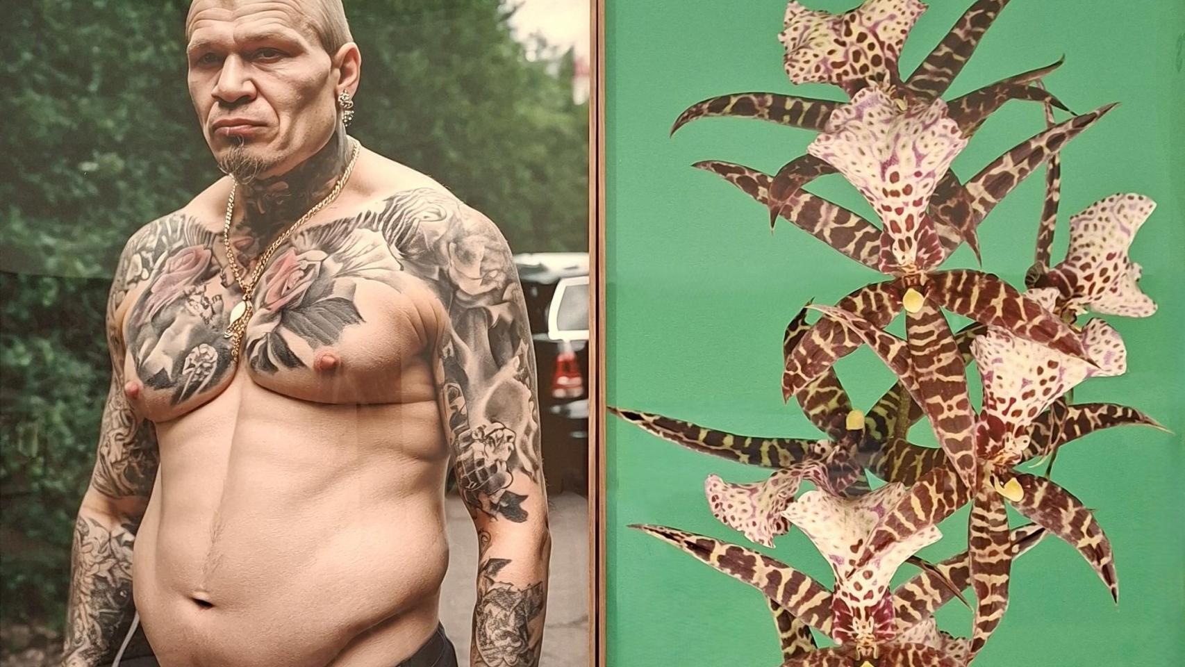 Pieza de la serie ‘Orquídeas y macarras’ (2024-25)