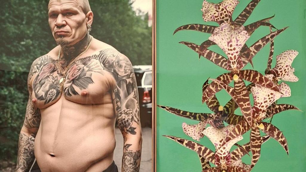 Pieza de la serie ‘Orquídeas y macarras’ (2024-25)