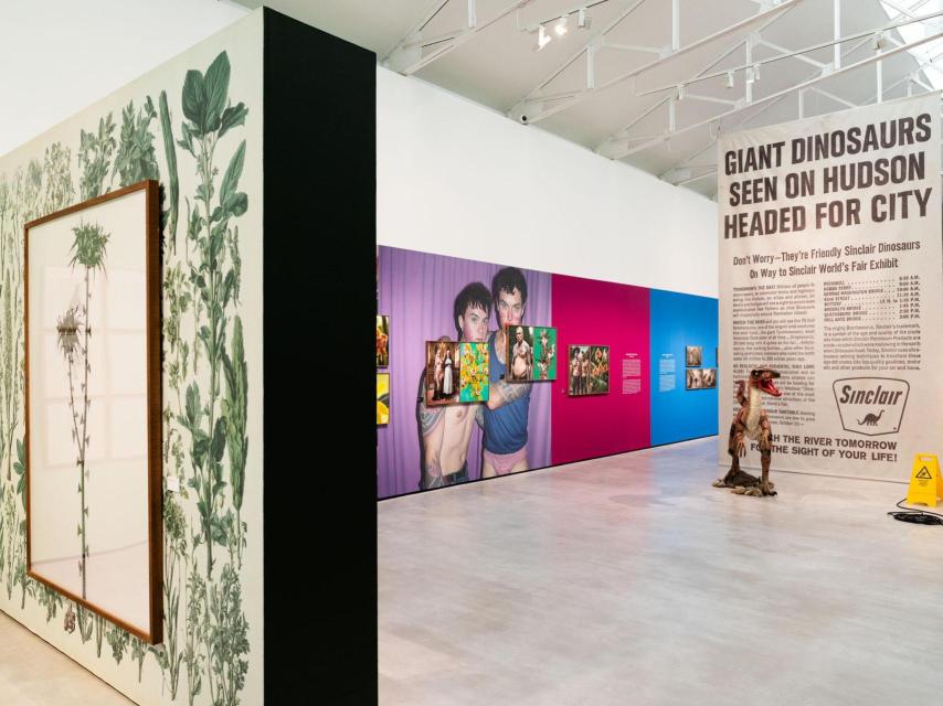 Vista general de la exposición con la serie ‘Orquídeas y macarras’ (2024-25).