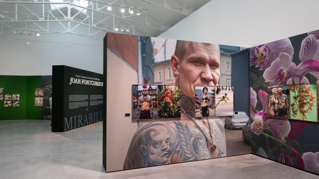 Vista general de la muestra