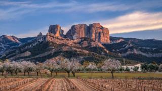 La zona de Cataluña ideal para visitar en otoño, la Terra Alta