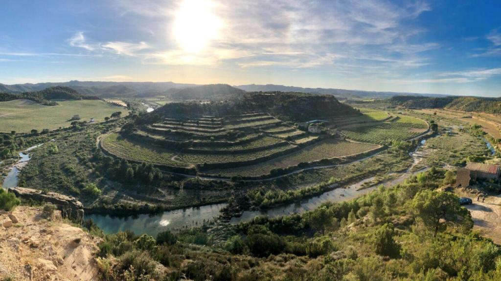 Campos y viñedos de Batea