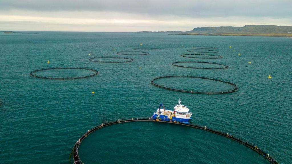 La acuicultura junto a la costa