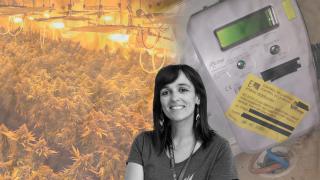 Montaje con una plantación de marihuana, un contador de luz y Sílvia Orriols, alcaldesa de Ripoll, en el centro