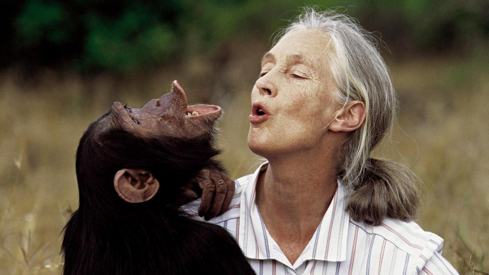 Jane Goodall