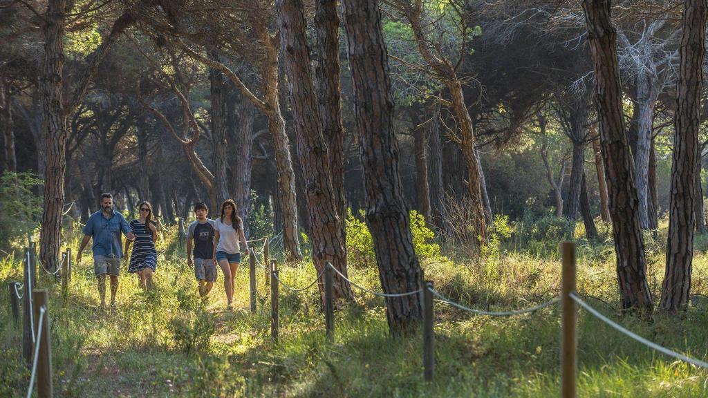 Cuatro personas caminan por el bosque de la Pineda de Can Camins