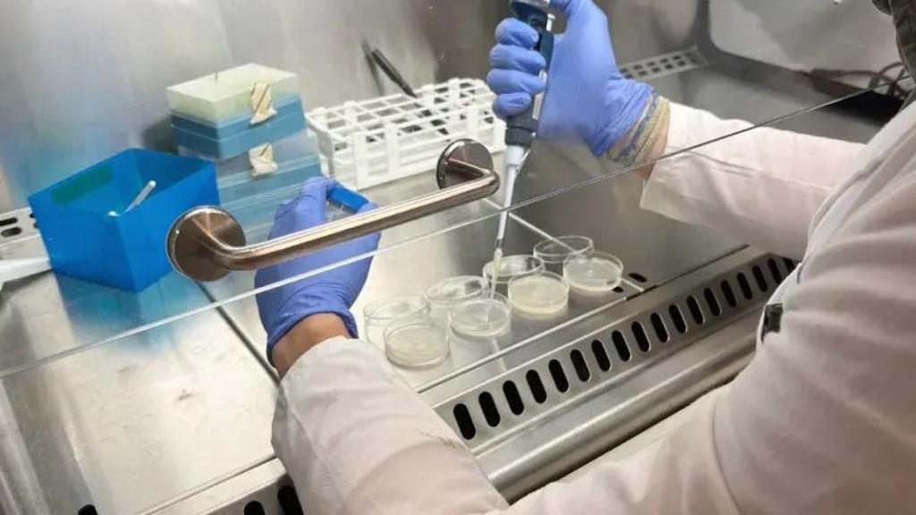 Imagen de un laboratorio de biotecnología