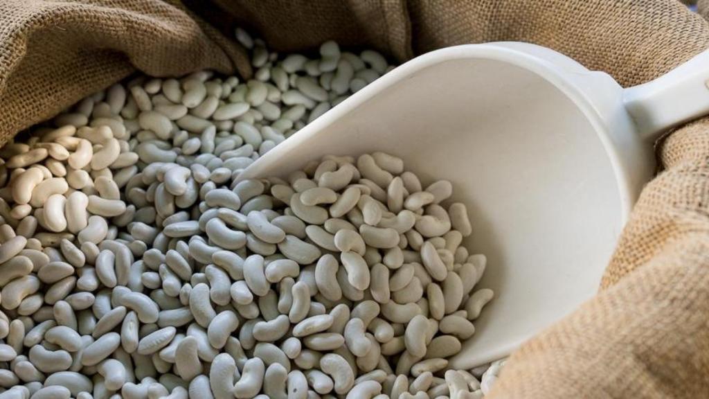 Mongeta de Castellfollit del Boix