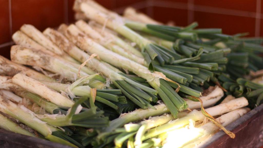 Calçots