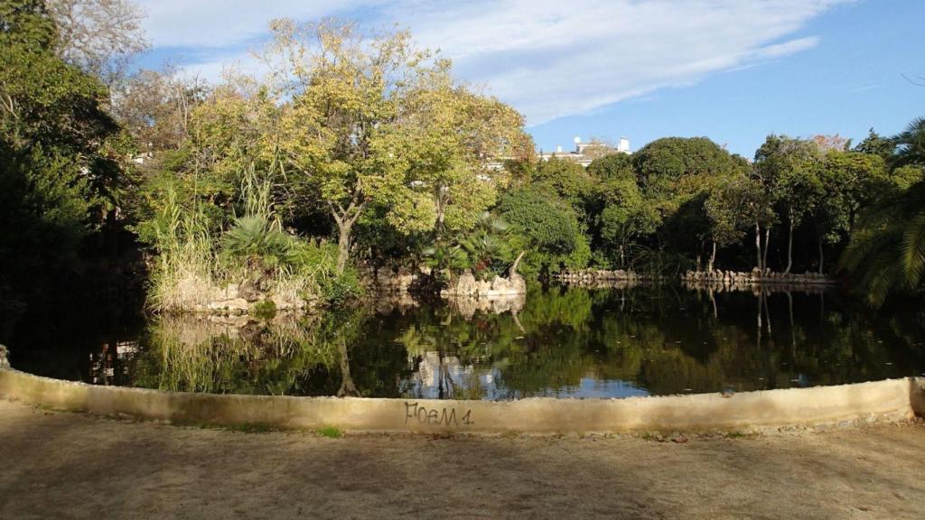 Lago del Parc del Llac