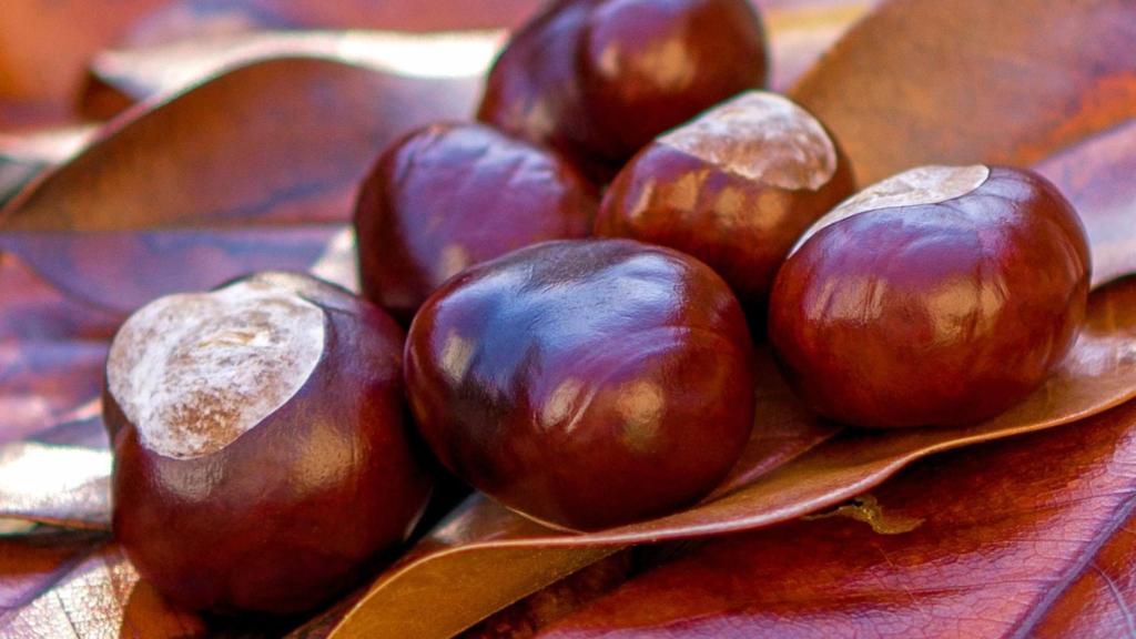 Castañas