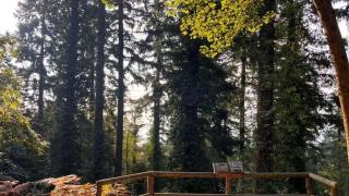 El bosque para caminar descalzo en Cataluña, Camina Descalç