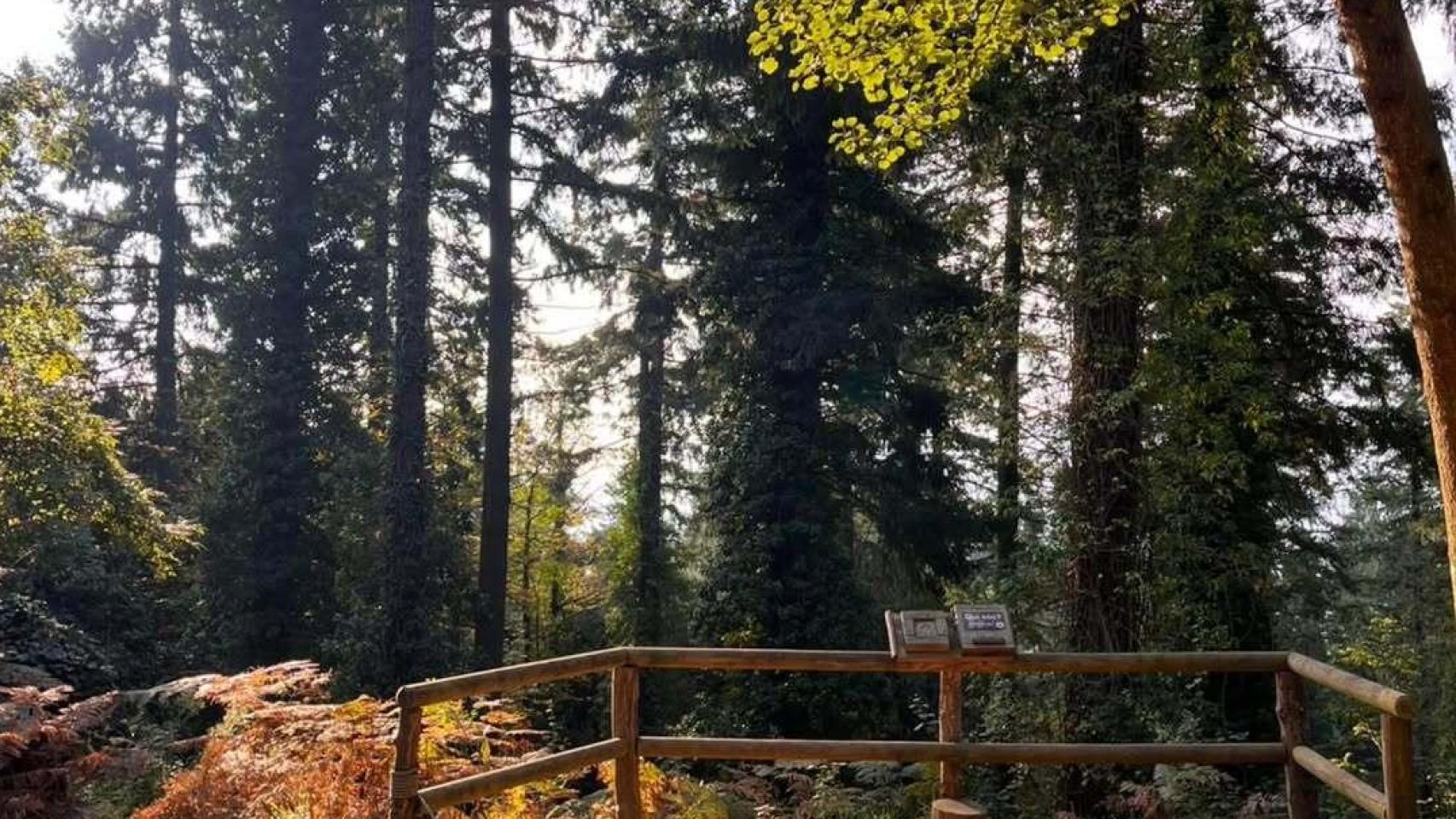 El bosque para caminar descalzo en Cataluña, Camina Descalç