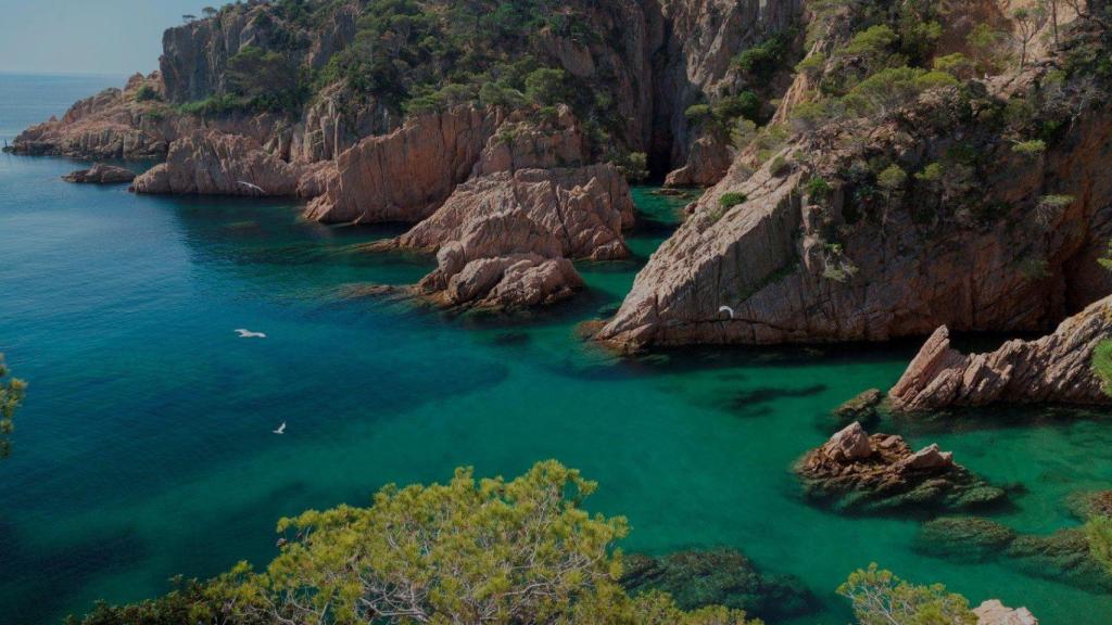 Calas de Sant Feliu de Guixols