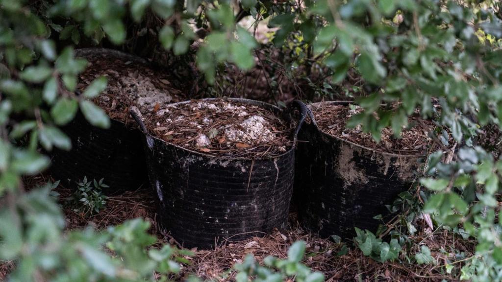 Grans contenidors plens de resina al bosc de Vallirana