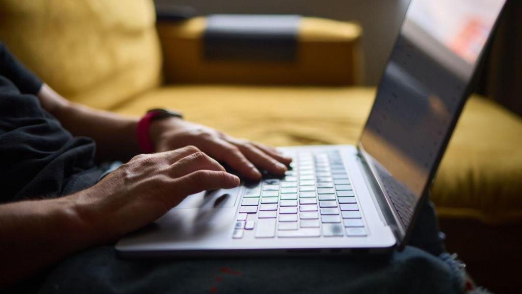 Una persona trabaja con un ordenador