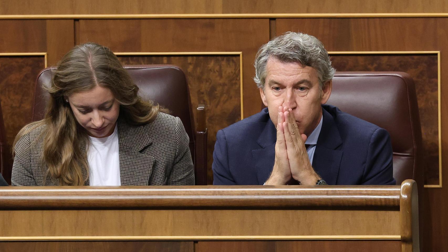 Alberto Núñez Feijóo, en el Congreso de los Diputados