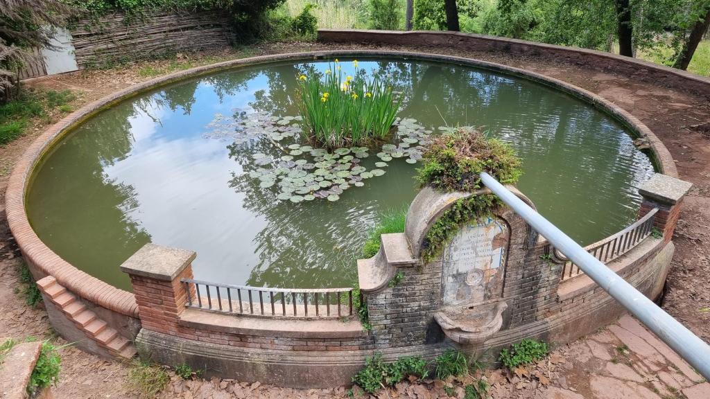 Balsa de la Font del Carinyo