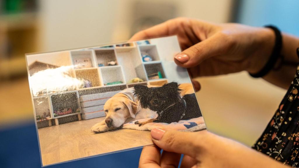 Dana i Chía, els gossos per a teràpia de jocs a la Barnahus del Prat de Llobregat