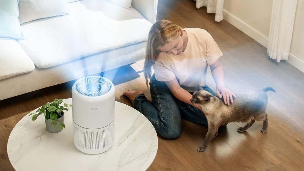 El sencillo truco para mejorar la calidad del aire en tu hogar y que ...