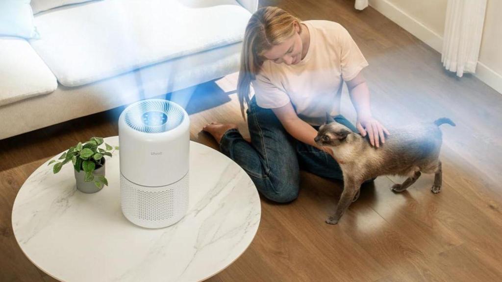 El sencillo truco para mejorar la calidad del aire en tu hogar y que está rebajadísimo en Amazon