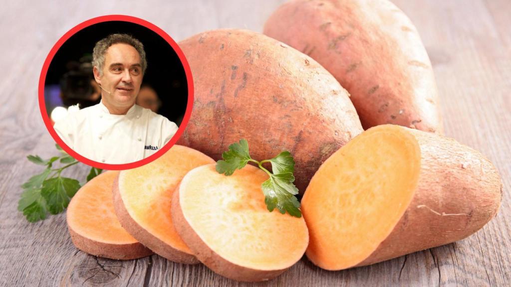 Ferran Adrià y boniatos
