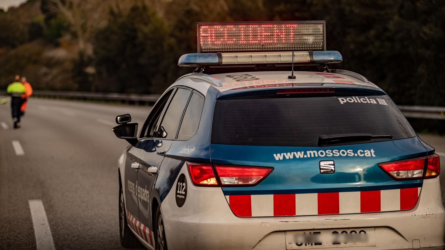 Muere una conductora tras chocar contra un jabalí en la N-340 en l'Ampolla