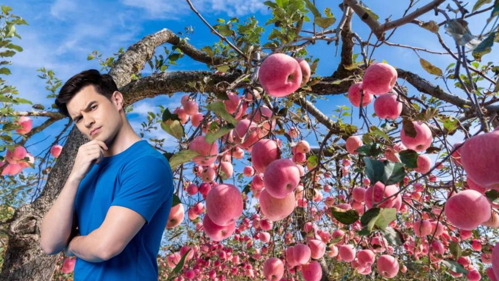 No es solo un alimento: el curioso apellido que llevan 26 personas en Cataluña