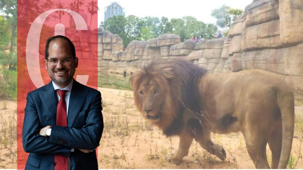 Javier Serrano Copete opina sobre la situación del Zoo de Barcelona