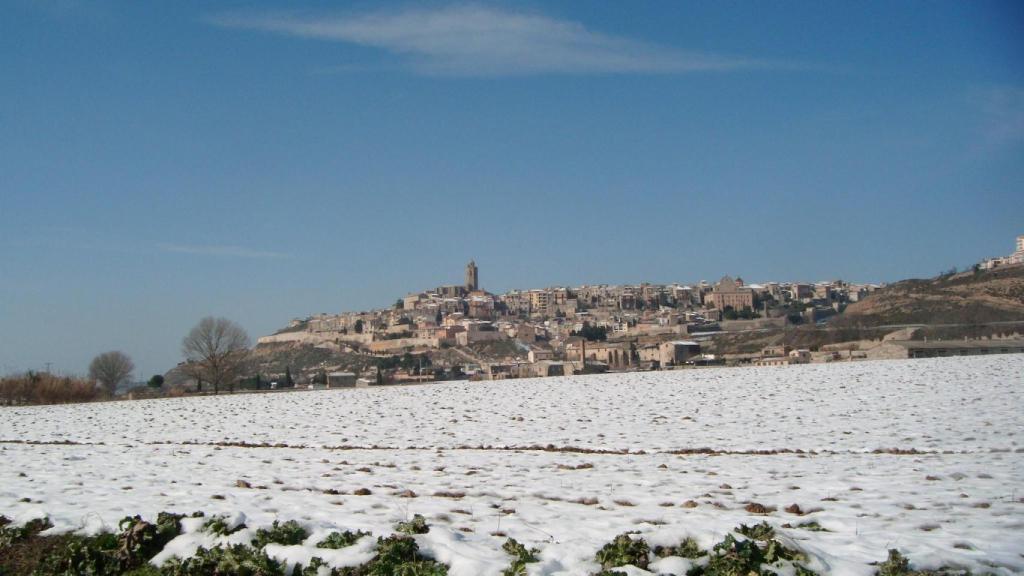 Paisaje nevado en La Segarra
