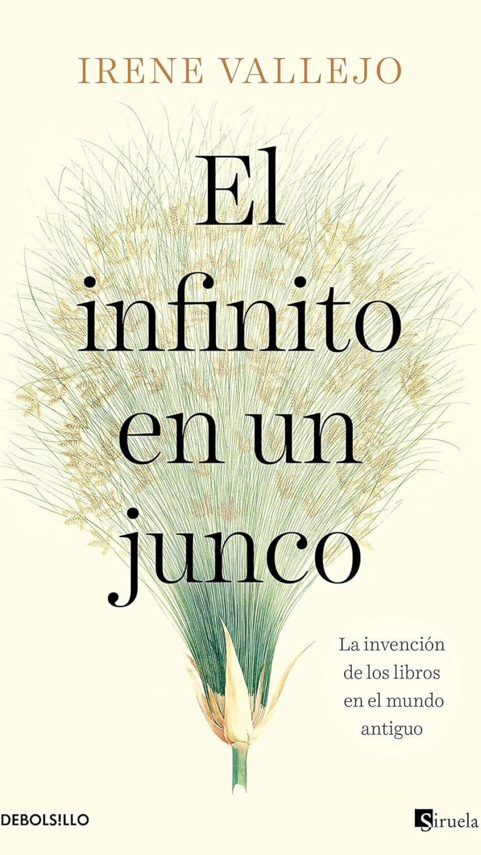 L’infinit en un jonc