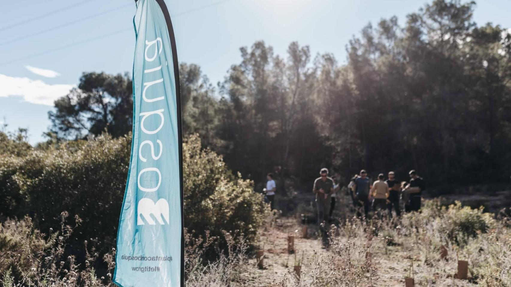 Zona en reforestación por Bosquia Nature