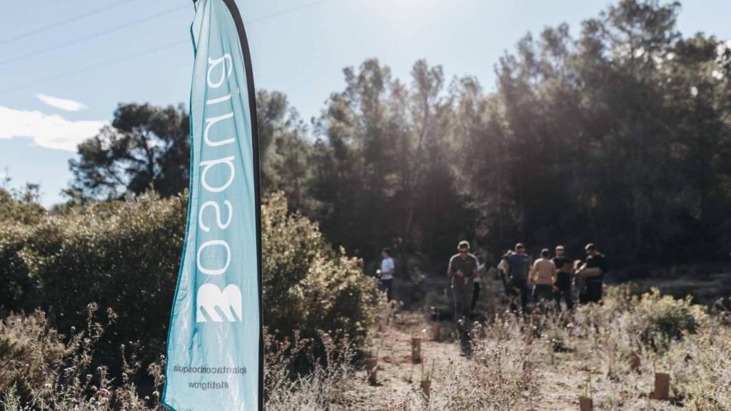 Zona en reforestación por Bosquia Nature