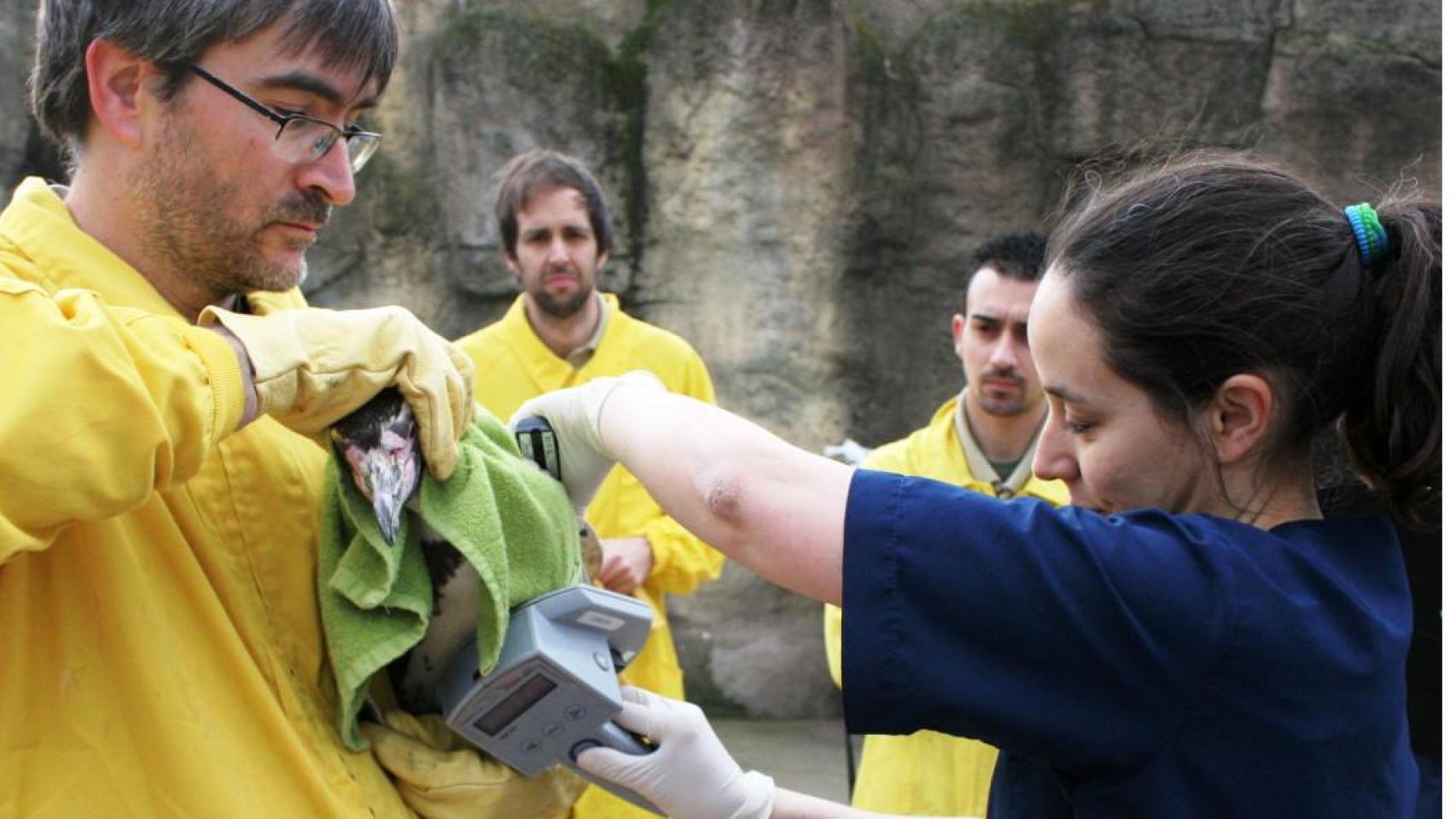 Trabajadores del Zoo con un ave
