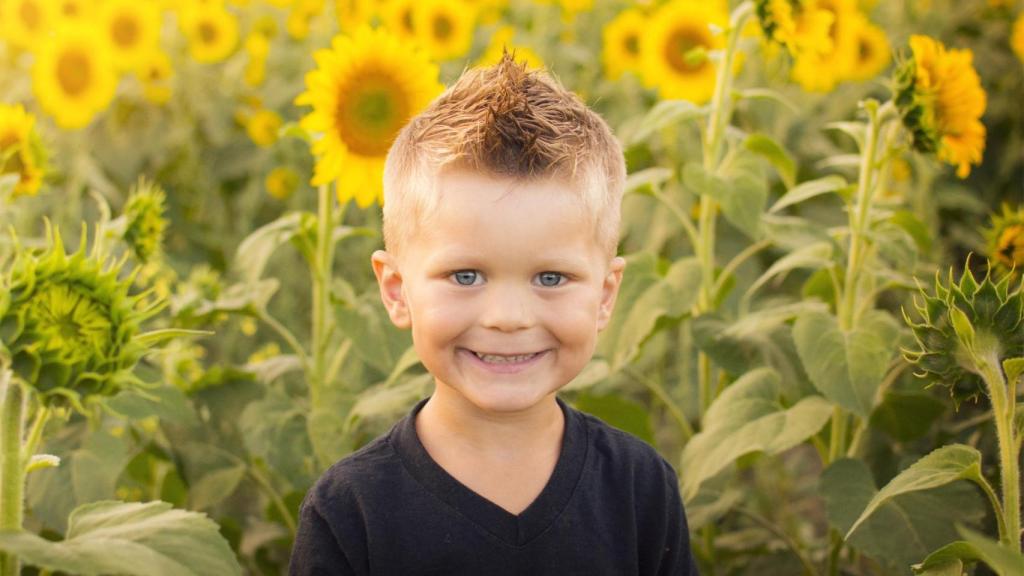 Niño entre girasoles