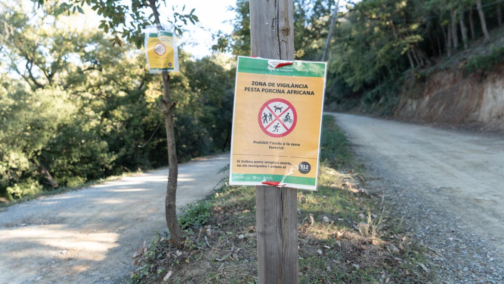 Cartel de aviso por peste porcina en Collserola