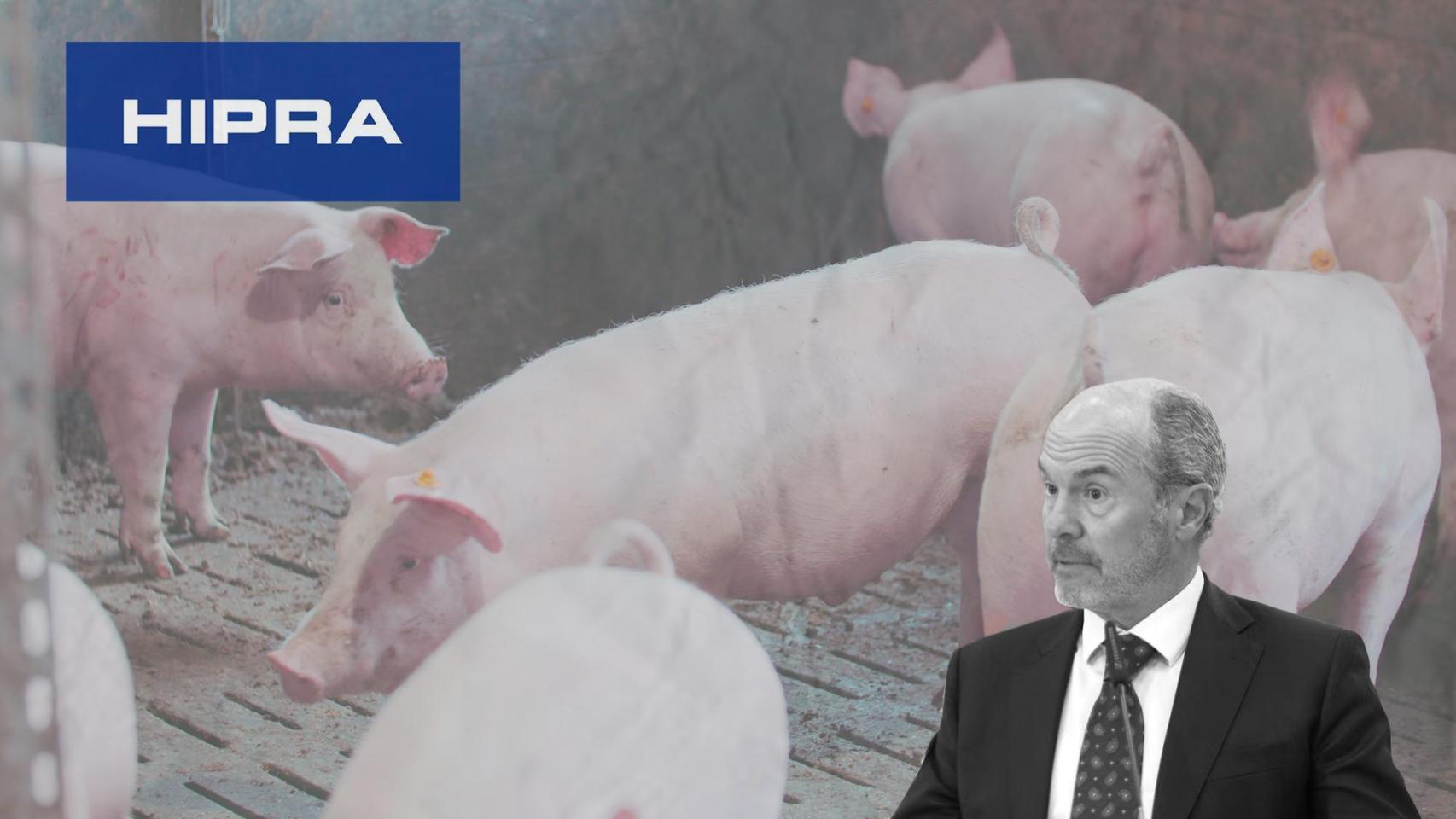 David Nogareda, el logo de Hipra y cerdos de fondo
