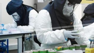 Trabajadores del IRTA-CReSA