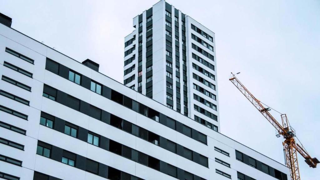 Modelos de pisos cebra