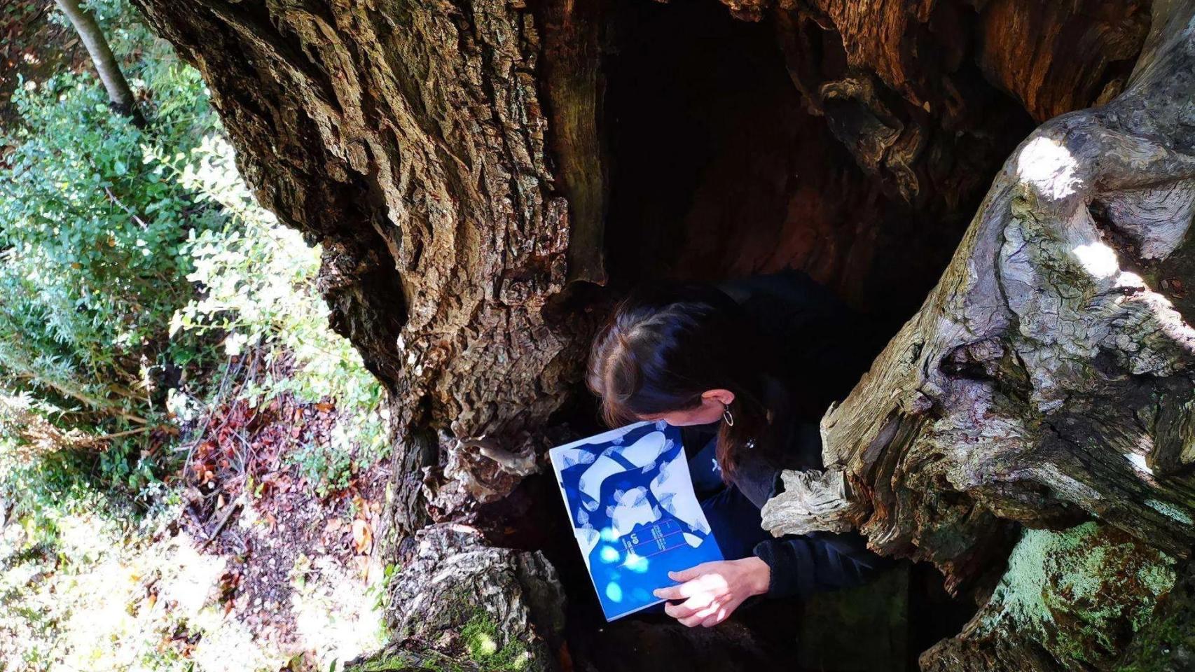 El bosque más literario de Cataluña