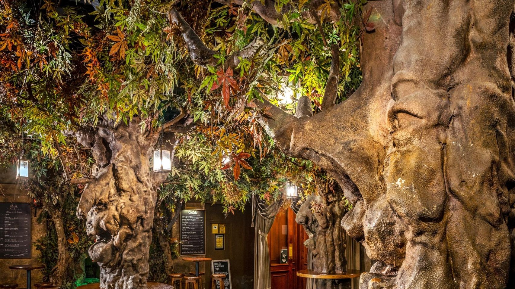 El Bar M gico De Barcelona Con Bosque Encantado Que Te Transportar A El Bar M gico De Barcelona Con Bosque Encantado Que Te Transportar A