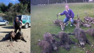 Salva, cazador: He abatido decenas de jabalies y para la peste porcina necesitamos rifles más grandes