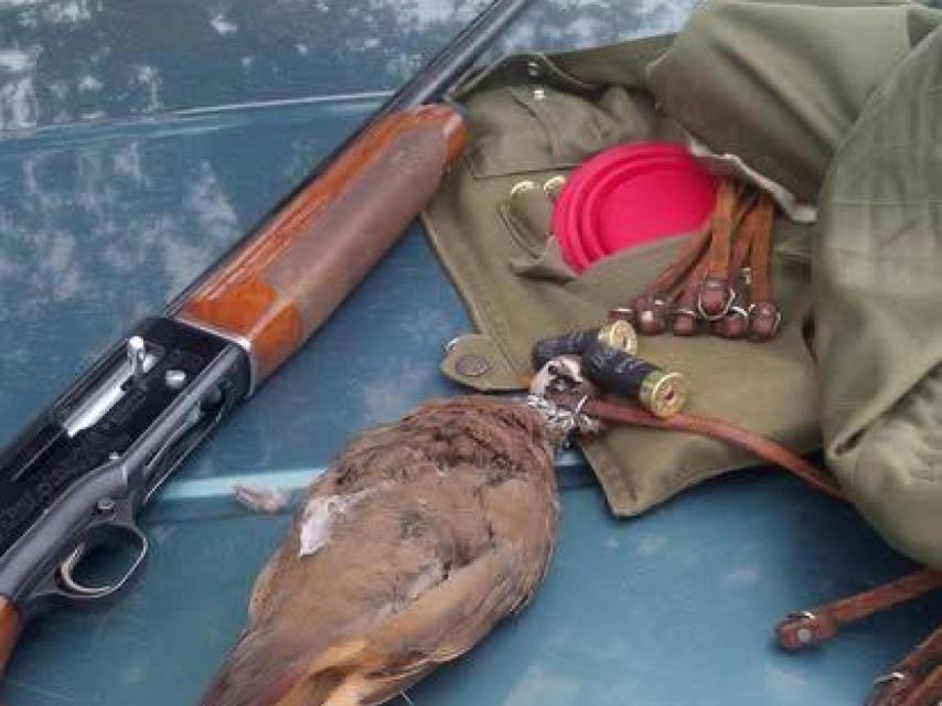 Bodegón de un día de caza de Salva