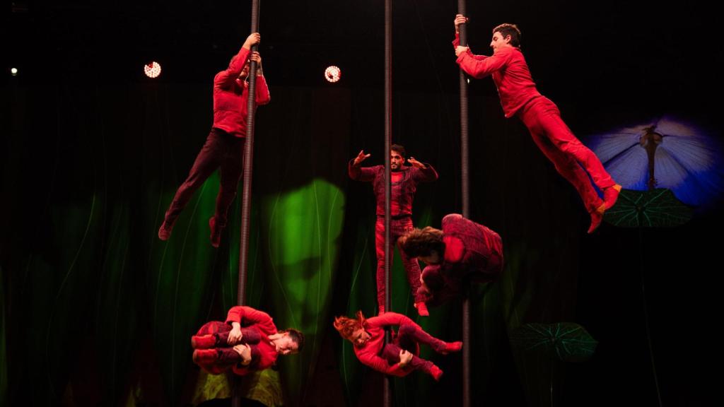 Acróbatas del Cirque du Soleil