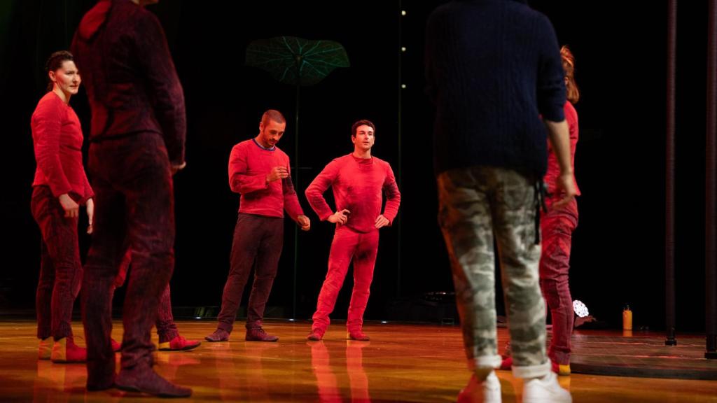 Ensayos del Cirque du Soleil