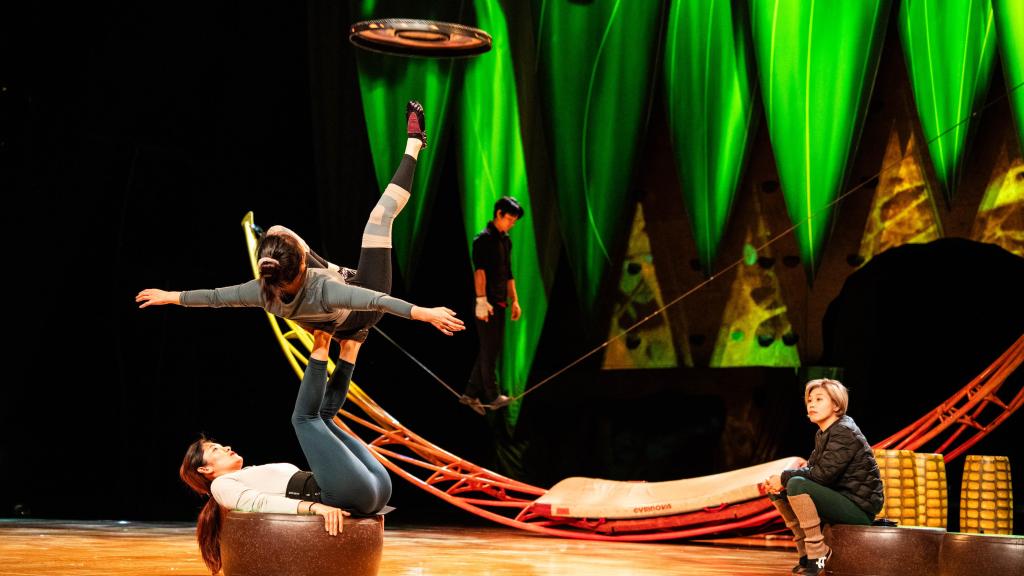 Acróbatas del Cirque du Soleil