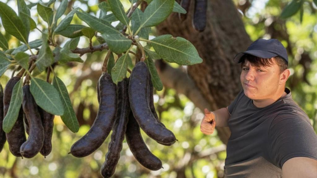 Marc (19 años), agricultor / CG