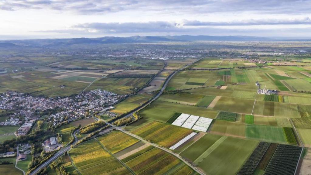 Imagen área del proyecto Lionheart, de ACS y Vulcan Energy / ACS